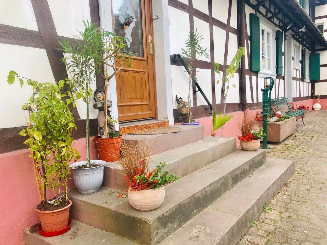 Appartement T3 Aux Deux Cigognes Gries Luaran gambar